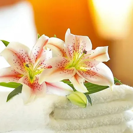 Morjan Hotel Coblenza